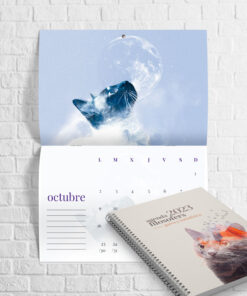 pack agenda + calendario